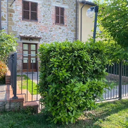 Vacanze Ideali *