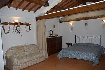 Vacanze Ideali Пачиано